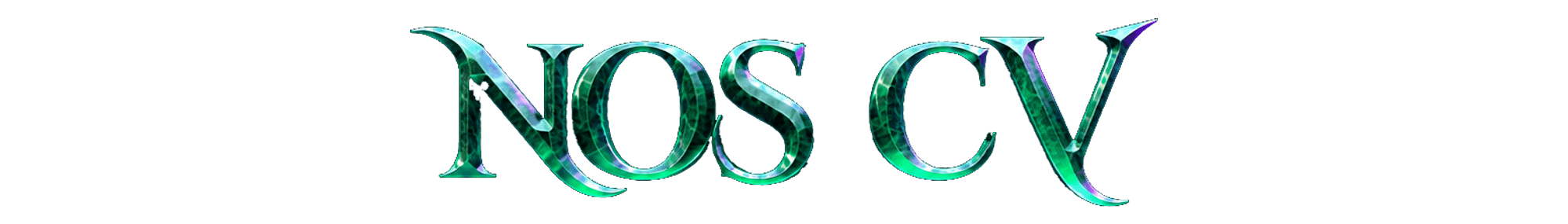 Nos CV
